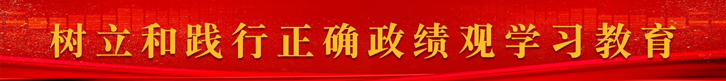 树立和践行正确政绩观学习教育